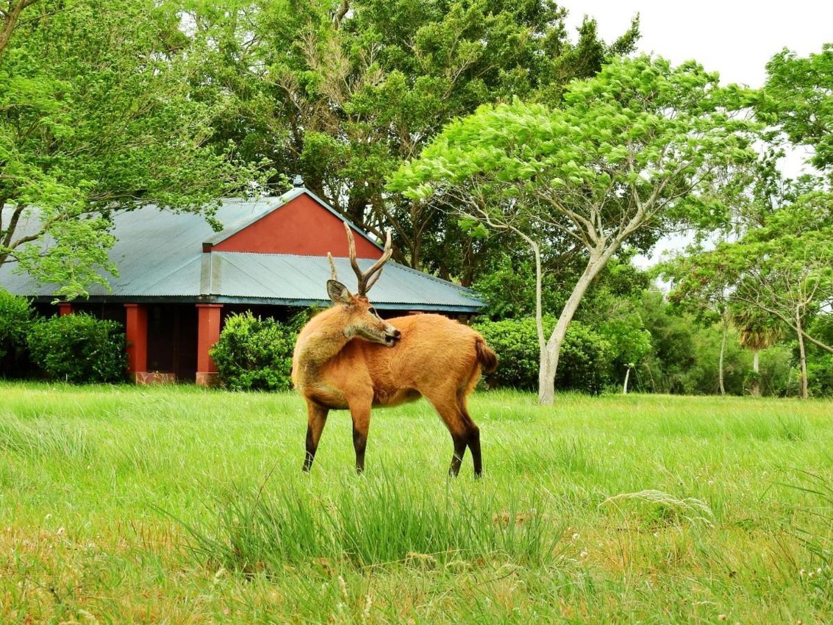 Estancia Ibera Colonia Carlos Pellegrini  Exteriör bild